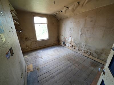 Picture 7